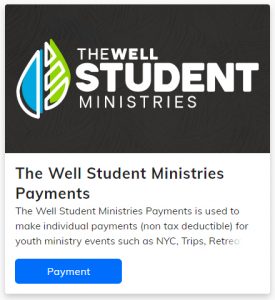Well Students Payments