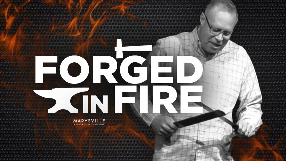 From Striving to Thriving